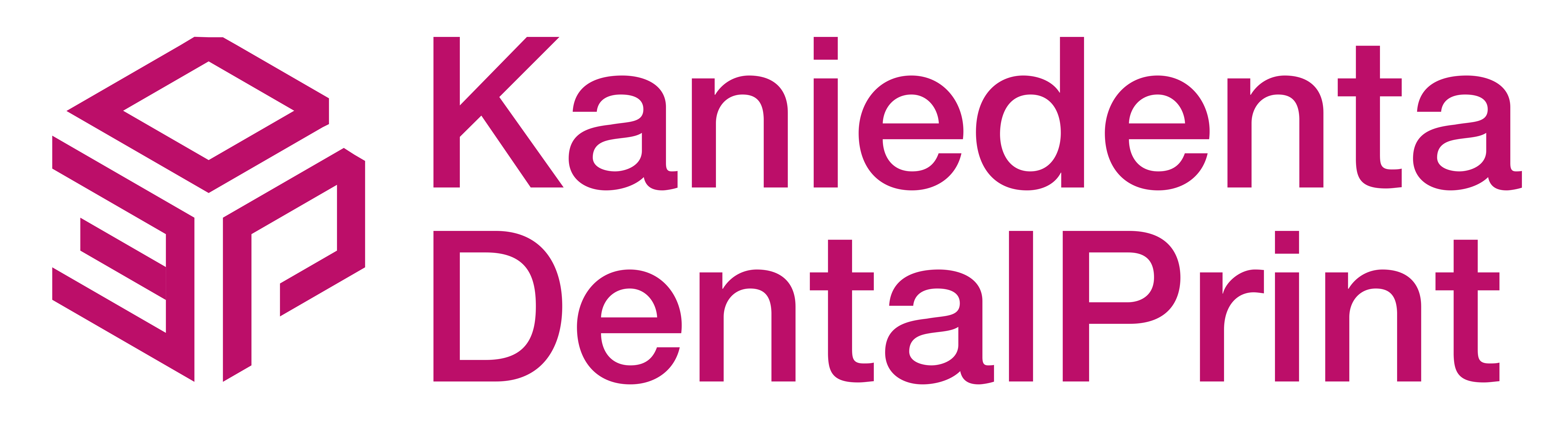 Kaniedenta DentalPrint Handbuch